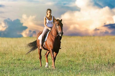 259 072 Imágenes gratis de Mujer Teniendo Con Caballo